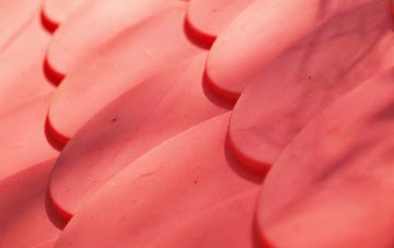 Hangingshaw plastic roof costs